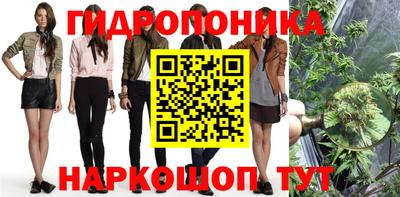 PSILOCYBIN Кунгур